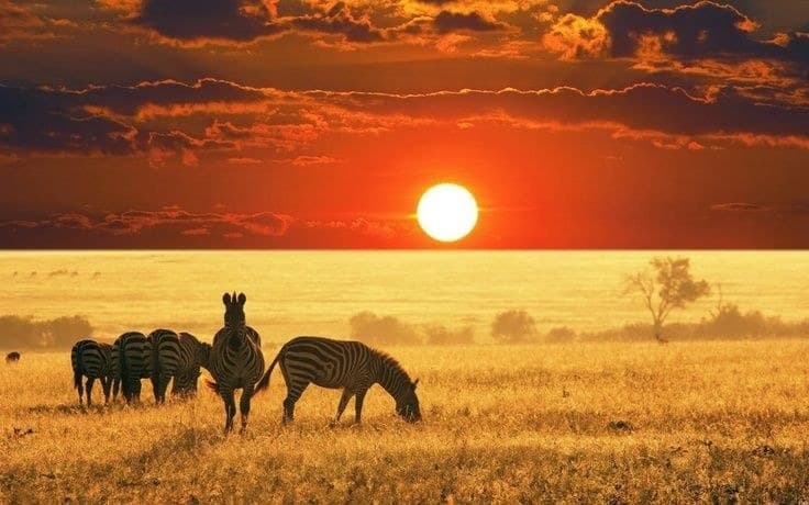Viaggio in Repubblica Centrafricana