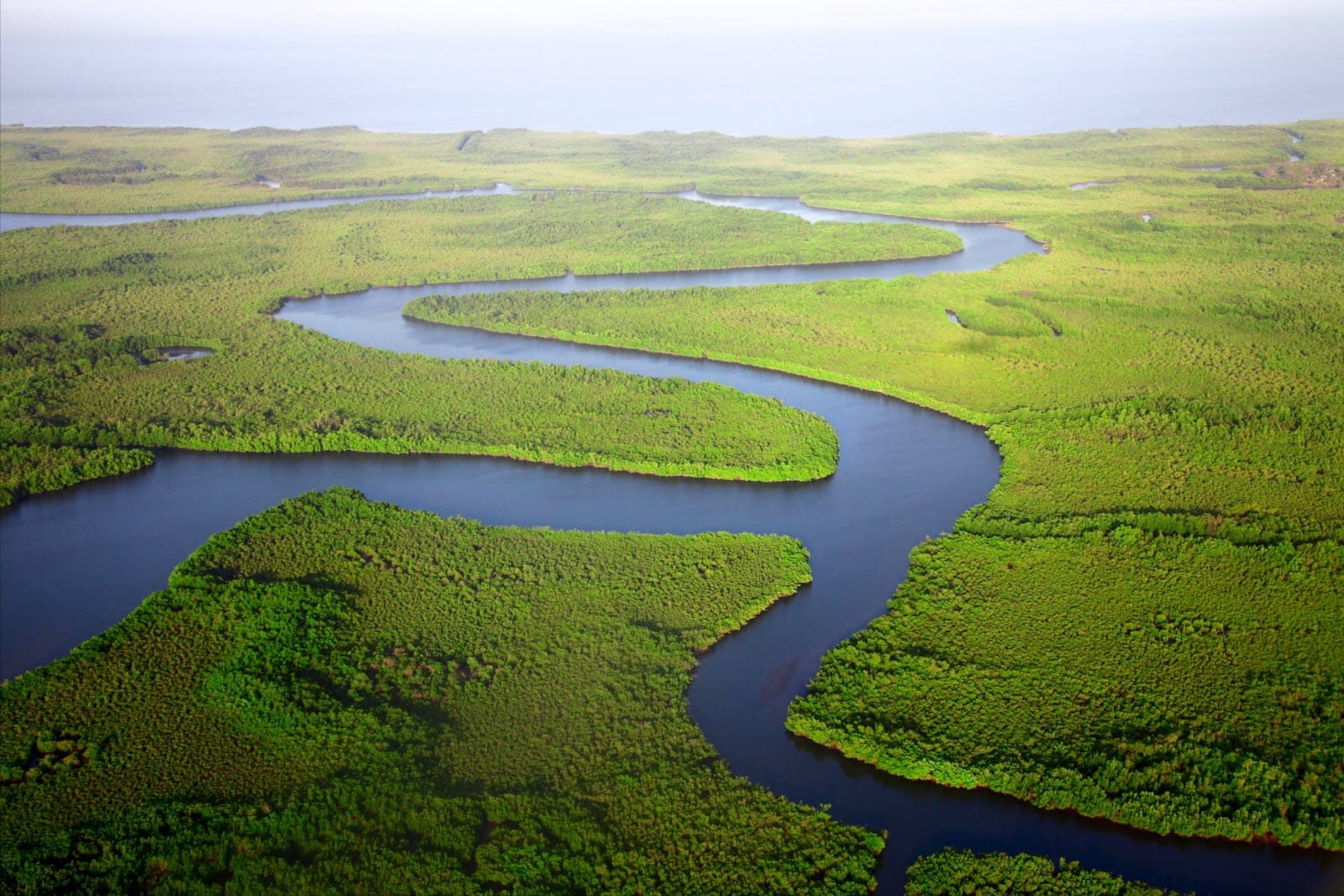 Viaggio in Gambia