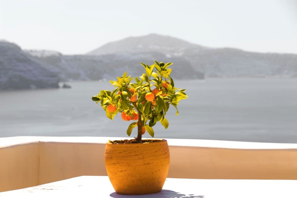 Viaggio in Grecia