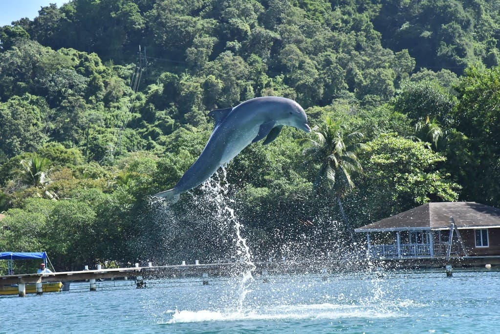 Viaggio in Honduras