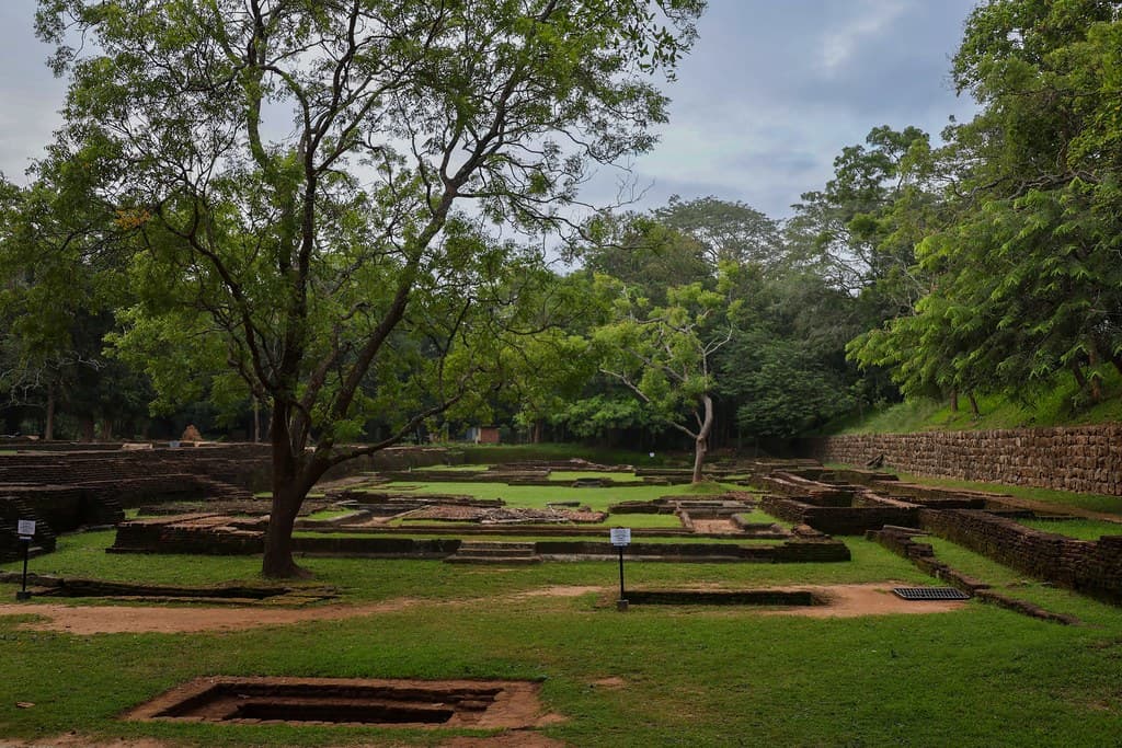 Viaggio in Sri Lanka