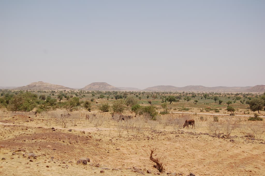 Viaggio in Niger