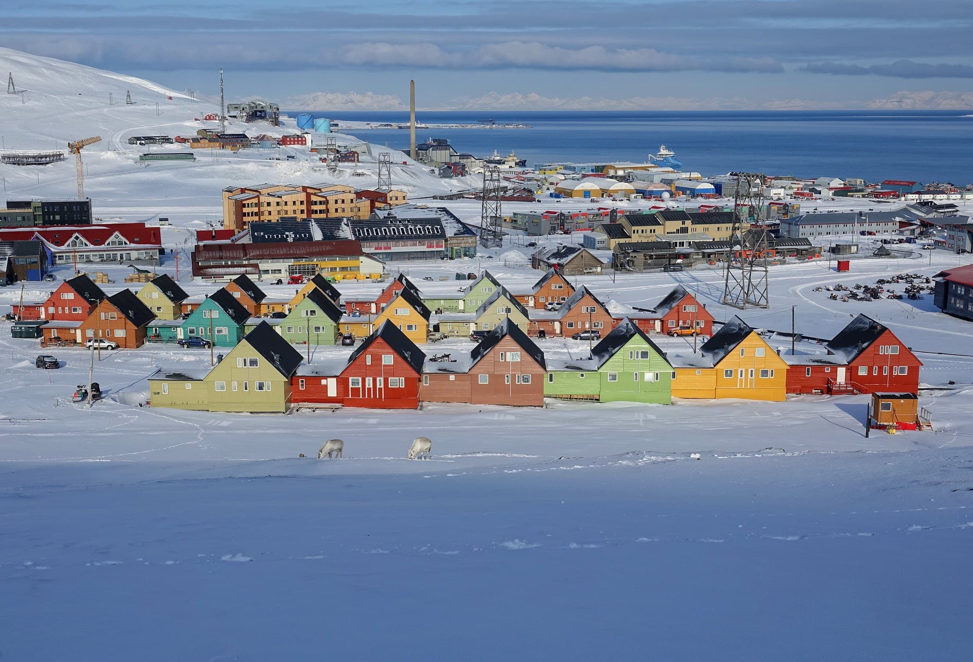 Viaggio in Svalbard e Jan Mayen