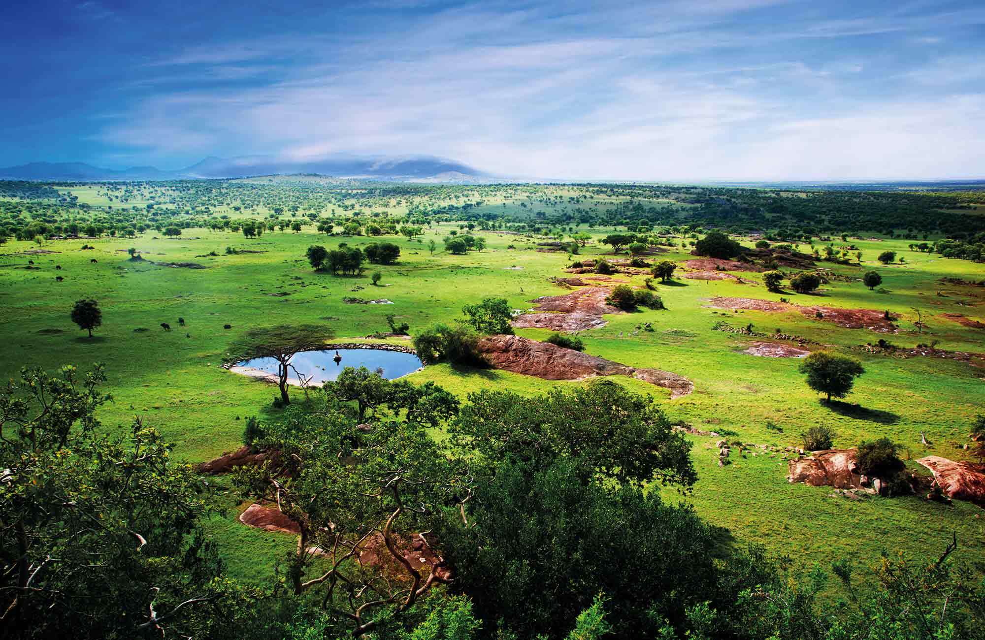 Viaggio in Tanzania