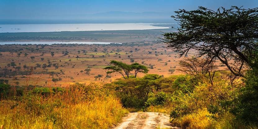 Viaggio in Uganda