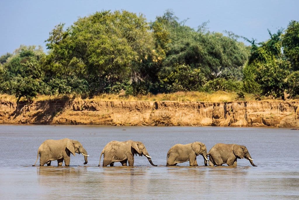 Viaggio in Zambia